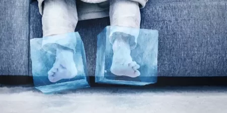 UOL_pes-congelados-gelados-frios-frio-inverno-1686751876903_v2_450x337